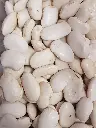 Haricots blancs géants bio /100 g
