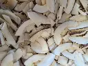 Coco en copeaux bio en vrac /20g