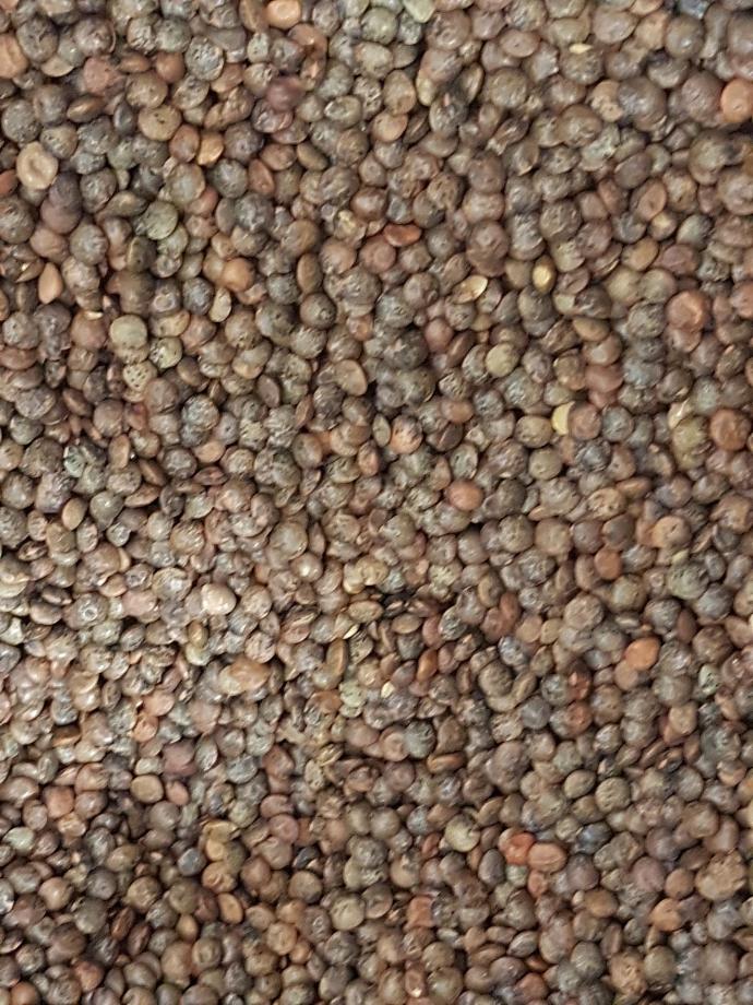 Lentilles vertes bio belges/100g