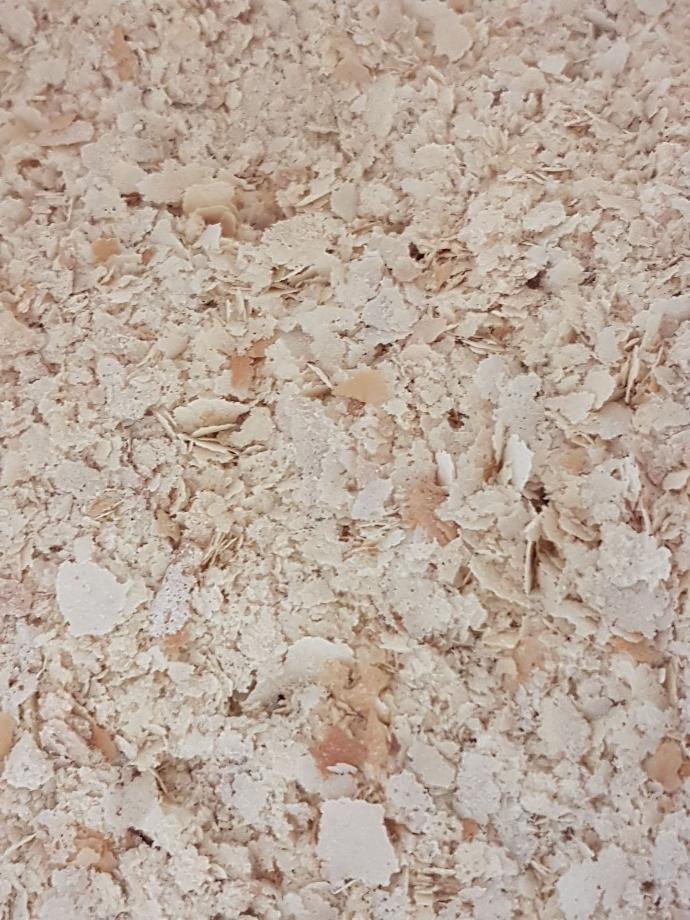 Levure maltée bio /20g