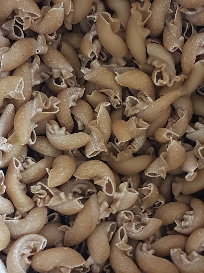 Pâtes clochettes aux œufs semi-complètes belges /100g