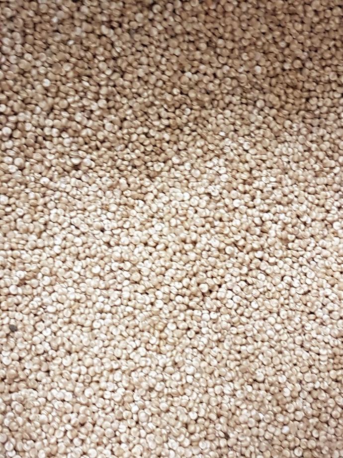Quinoa bio belge/100g