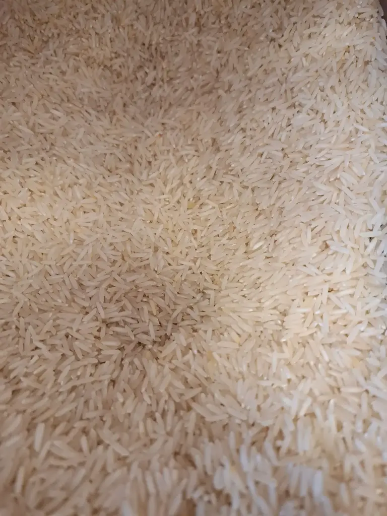 Riz à risotto bio /100g