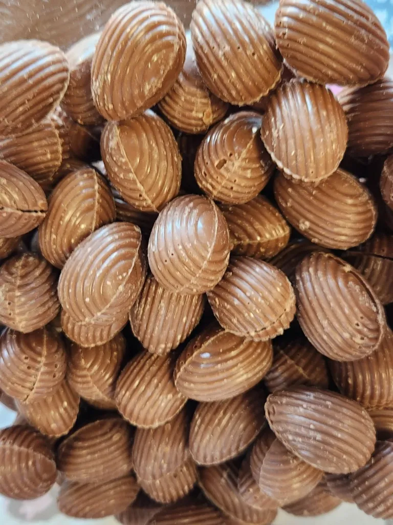 Oeufs de Pâques lait-praliné(/100 g) bio