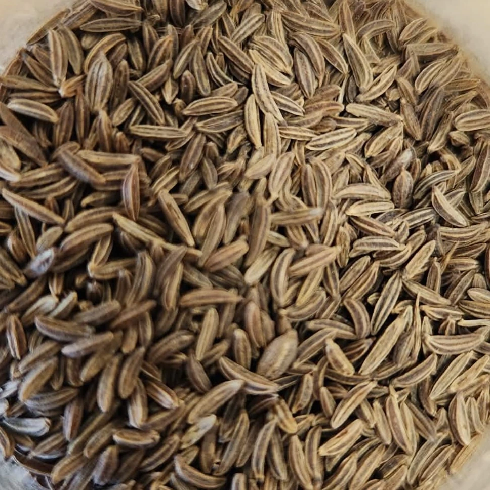 Carvi /10g