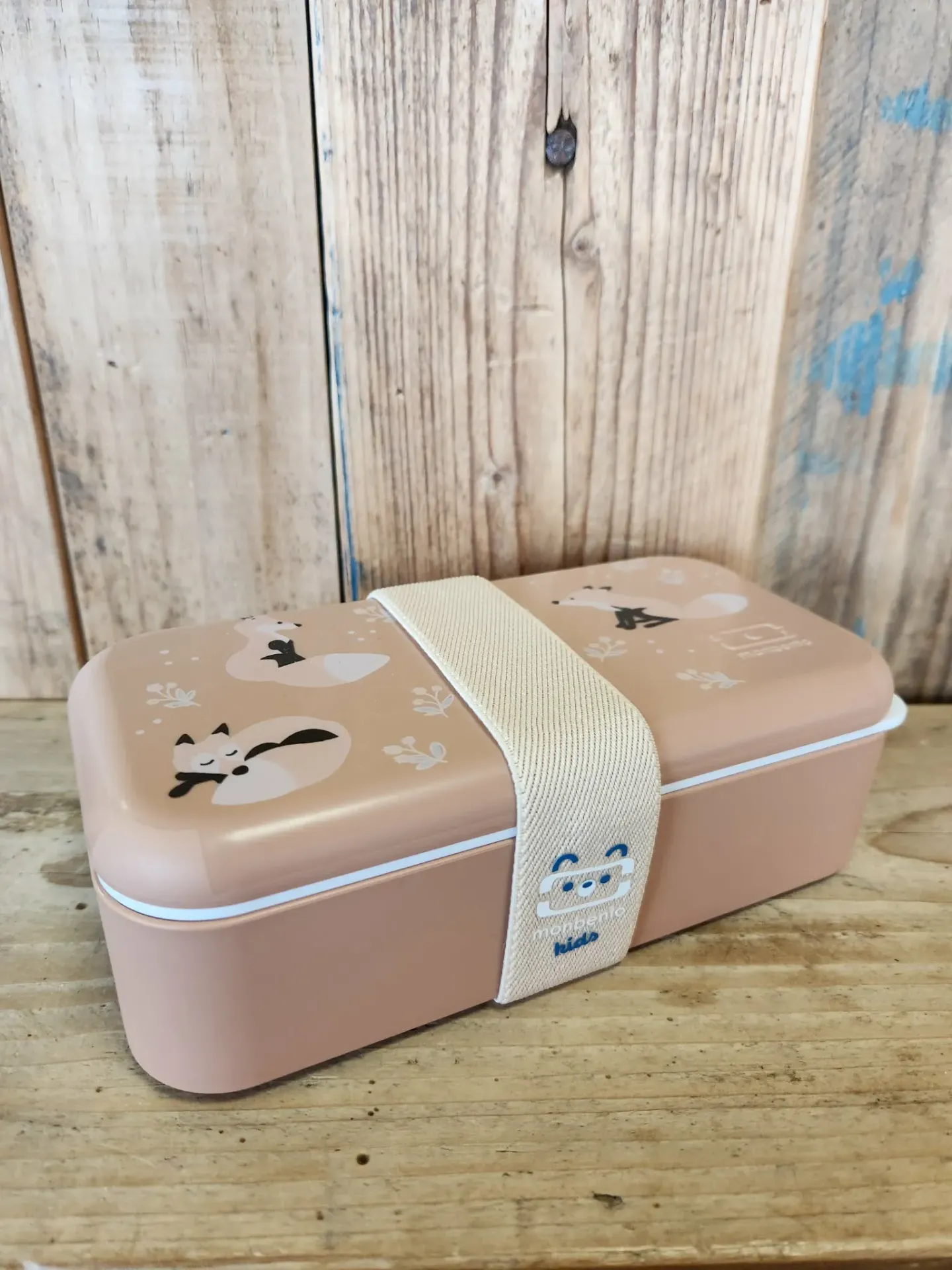 Bento enfant (différents motifs)