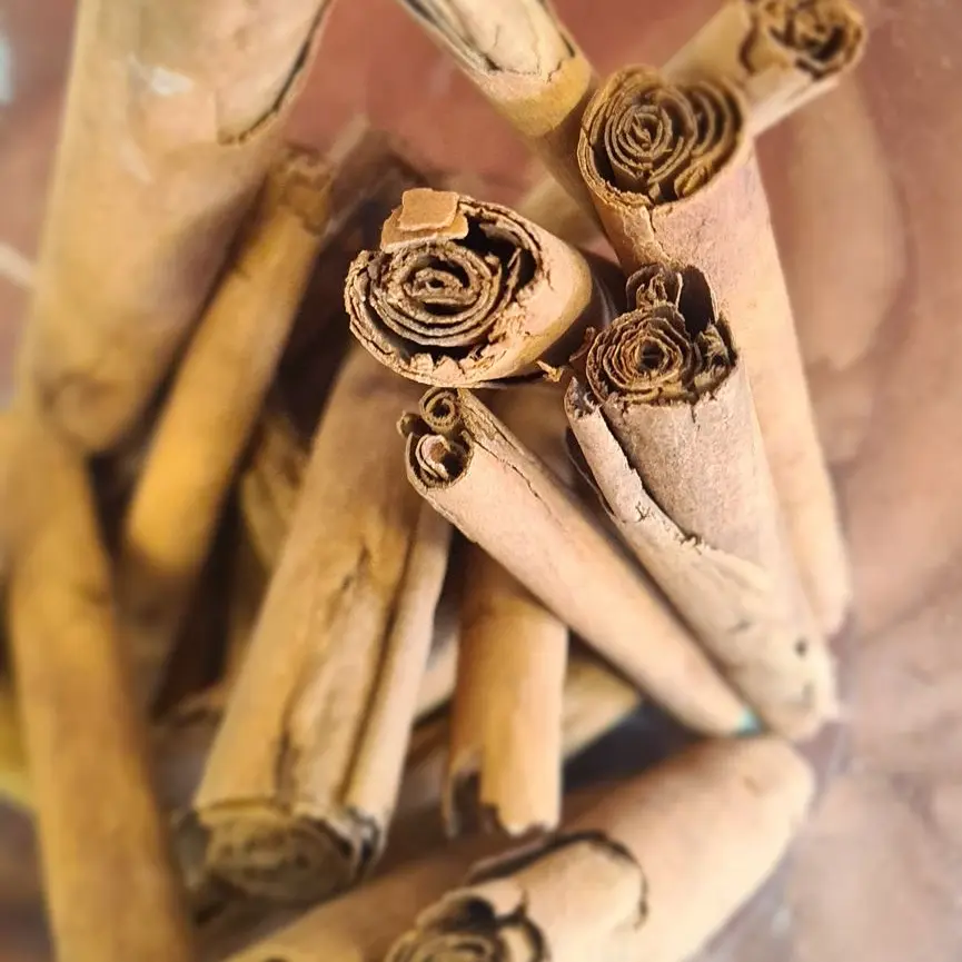 Cannelle en bâtons /10g