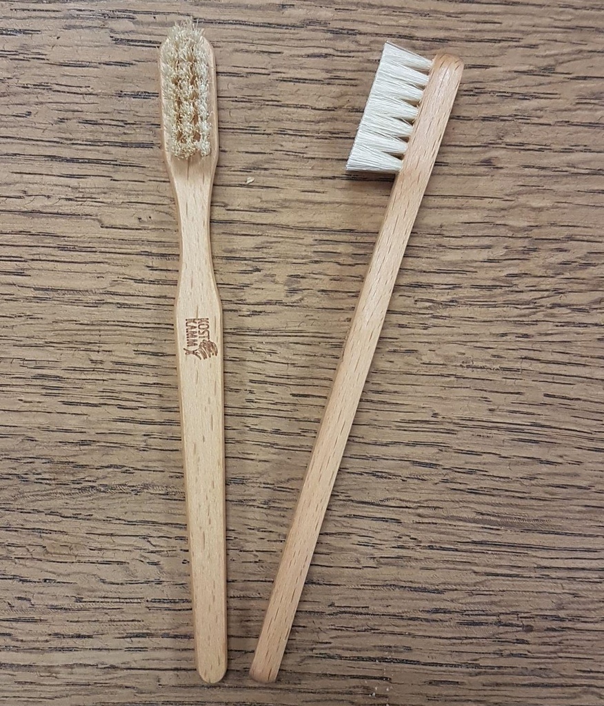 Brosse à dent (taille adulte)