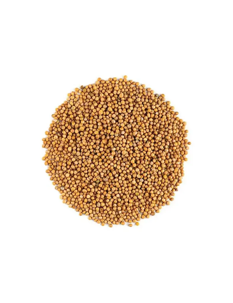 Moutarde jaune grains bio/10g