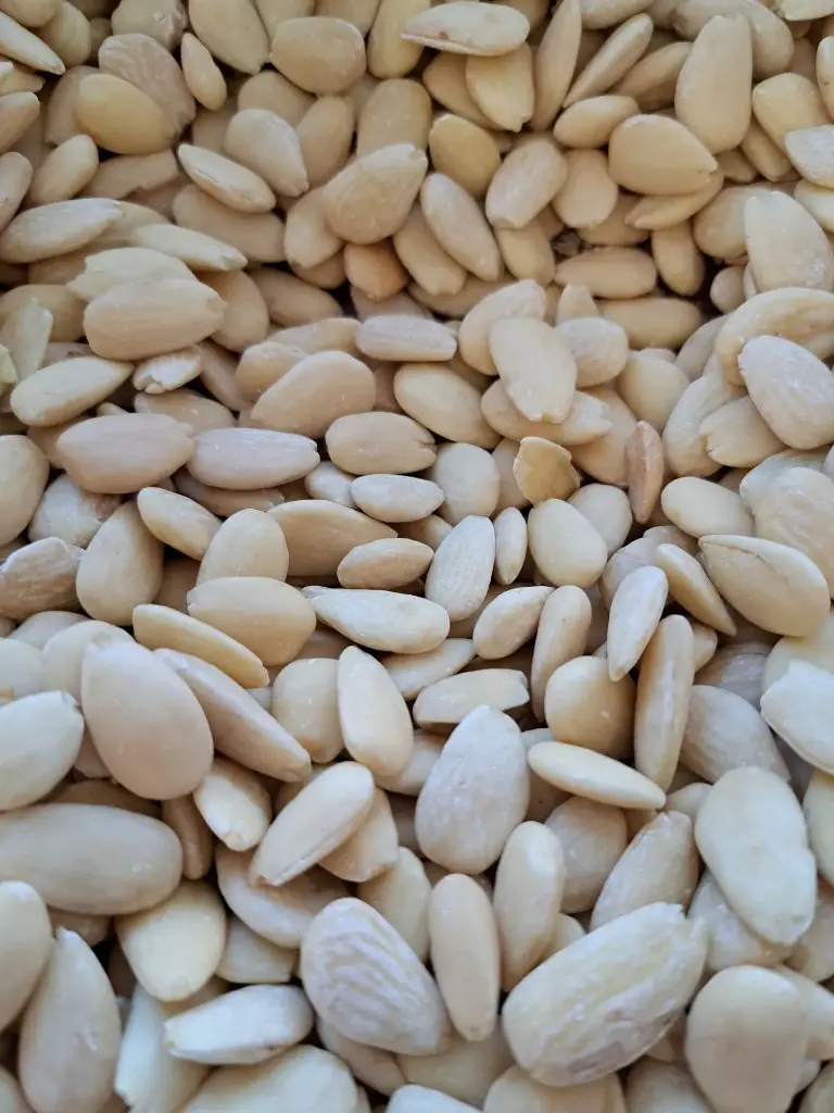 Amandes blanches bio en vrac /100g