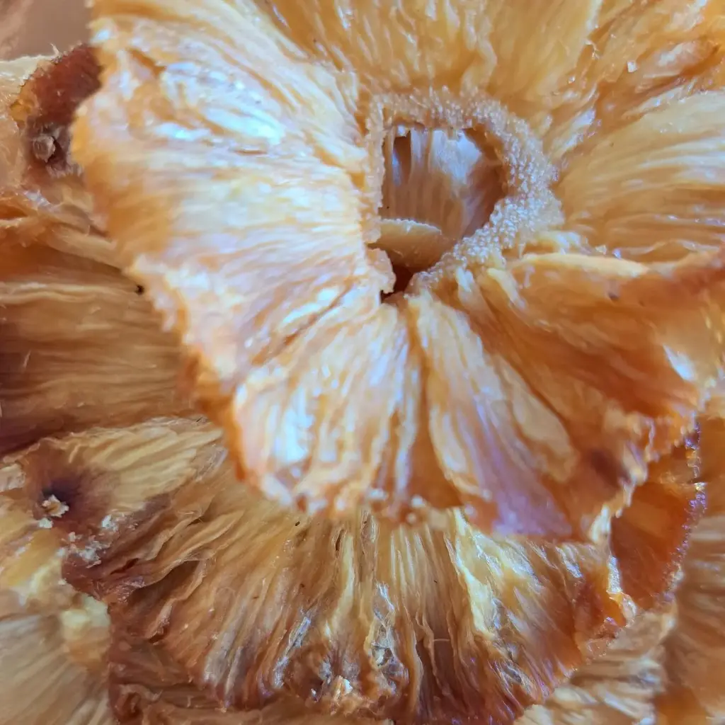 Ananas séchés bio en vrac/100g