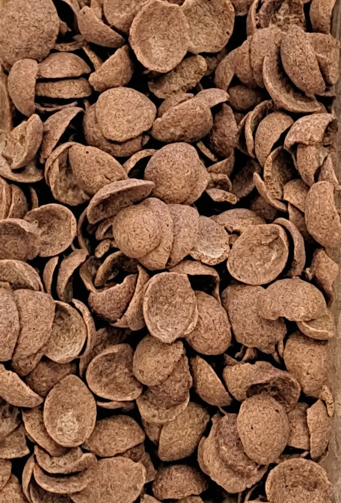 Céréales chocolunes bio en vrac/100g