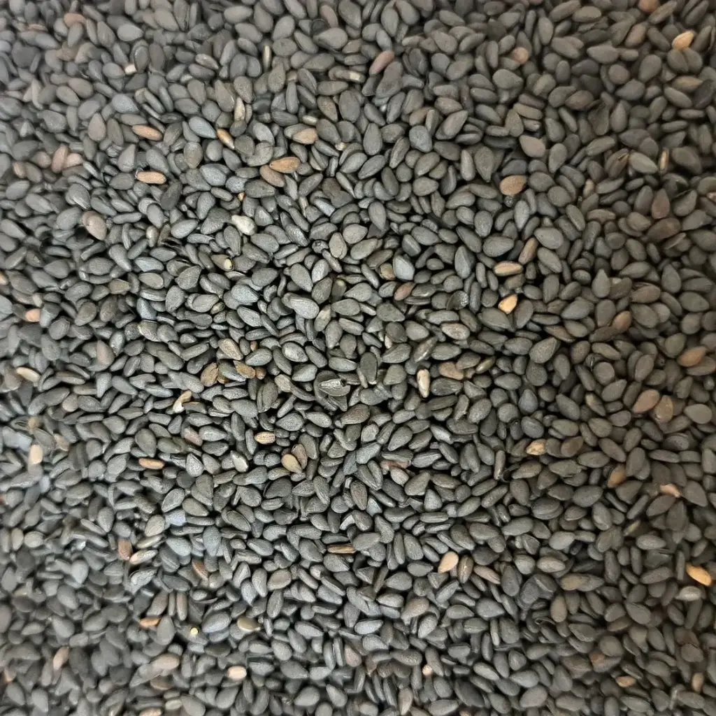 Graines de sésame noir bio /50g