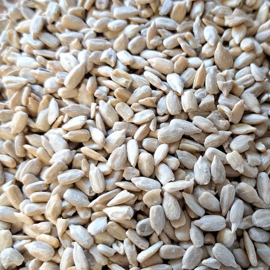 Graines de tournesol bio/100g