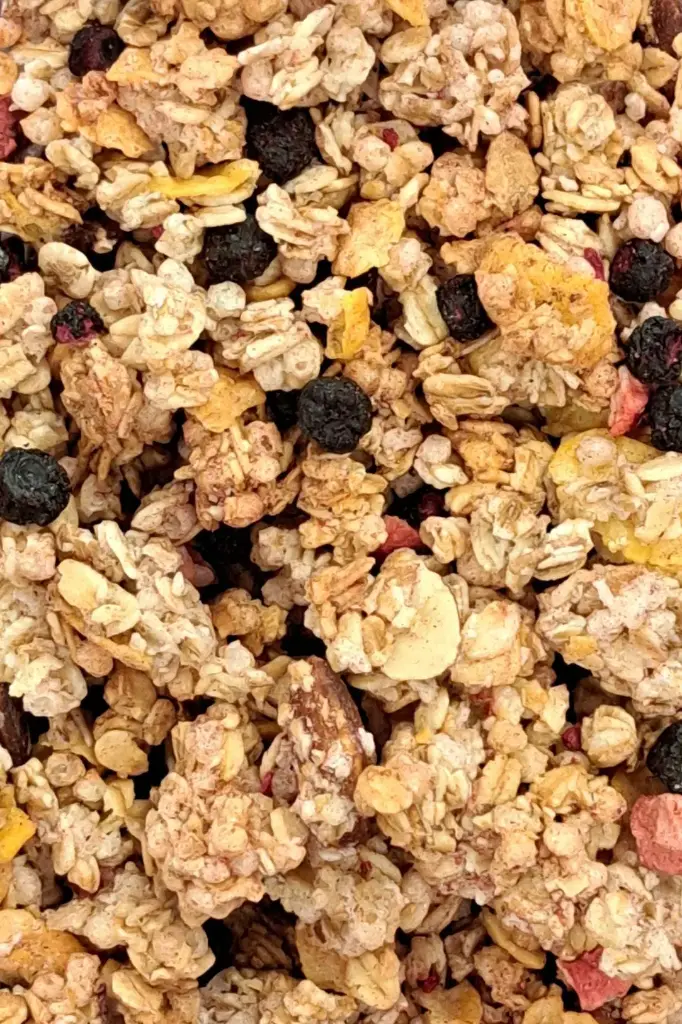 Granola Krounchy aux fruits rouges bio /100g