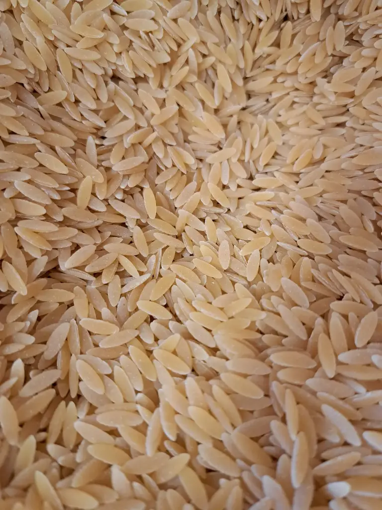 Pâtes grecques orzo bio /100g