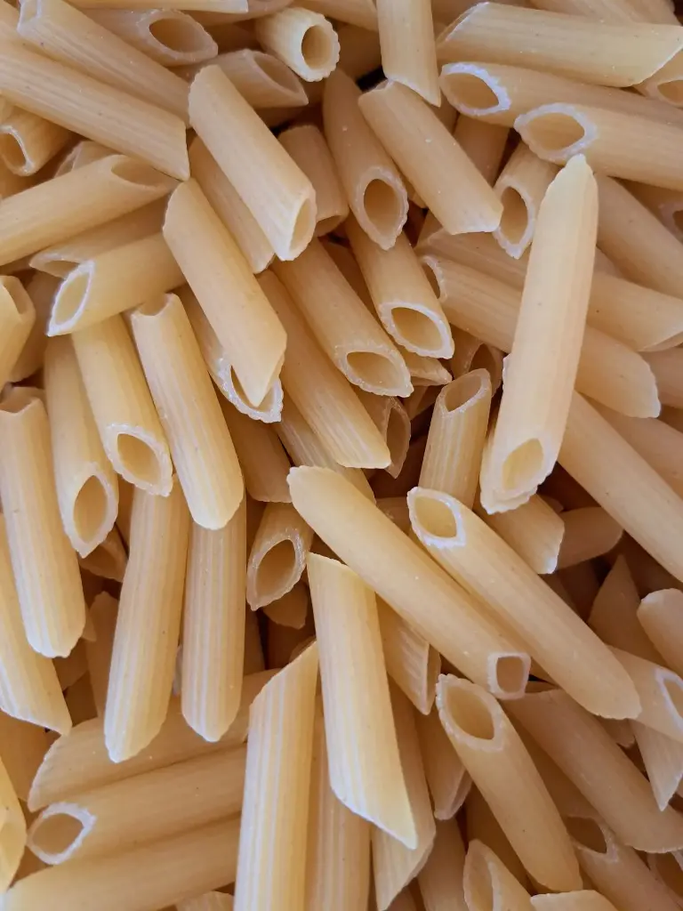 Pâtes penne blanches bio /100g