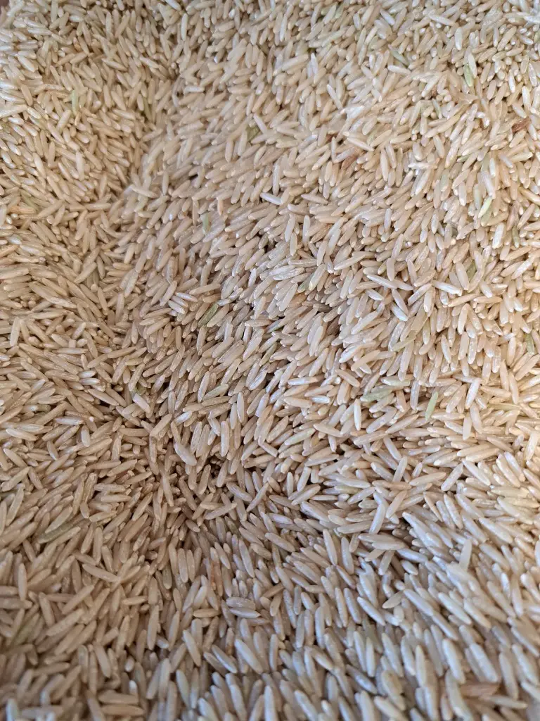 Riz basmati complet bio /100g