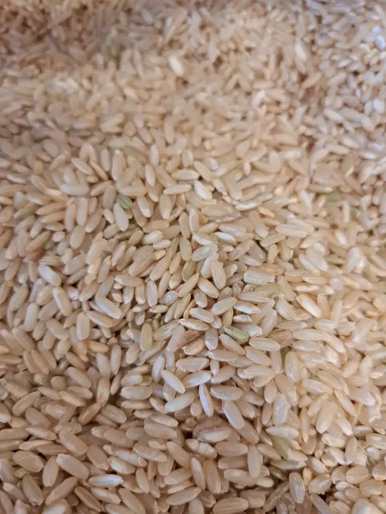 Riz long complet bio/100g