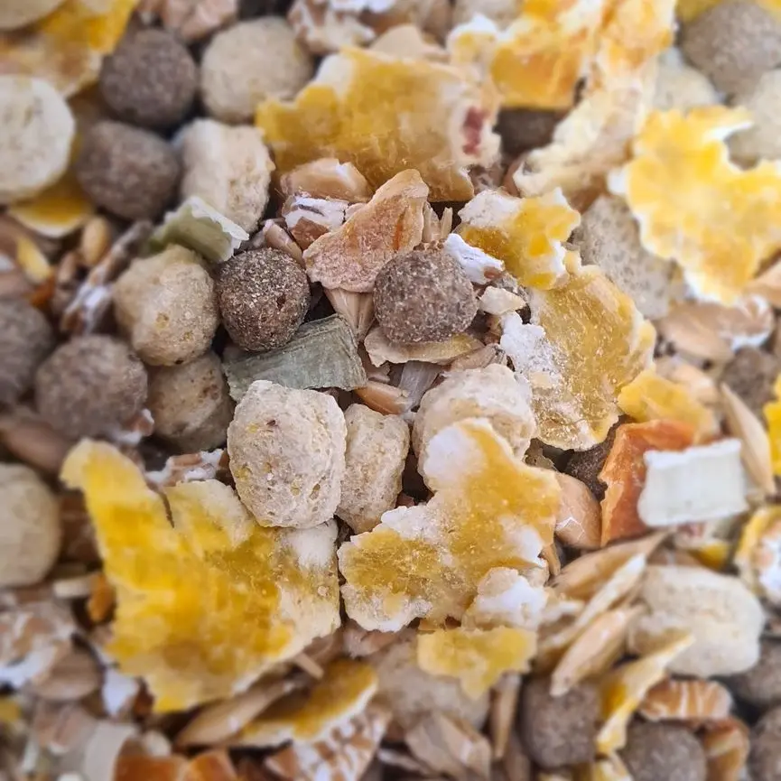 Alimentation pour chiens protéinée /100g