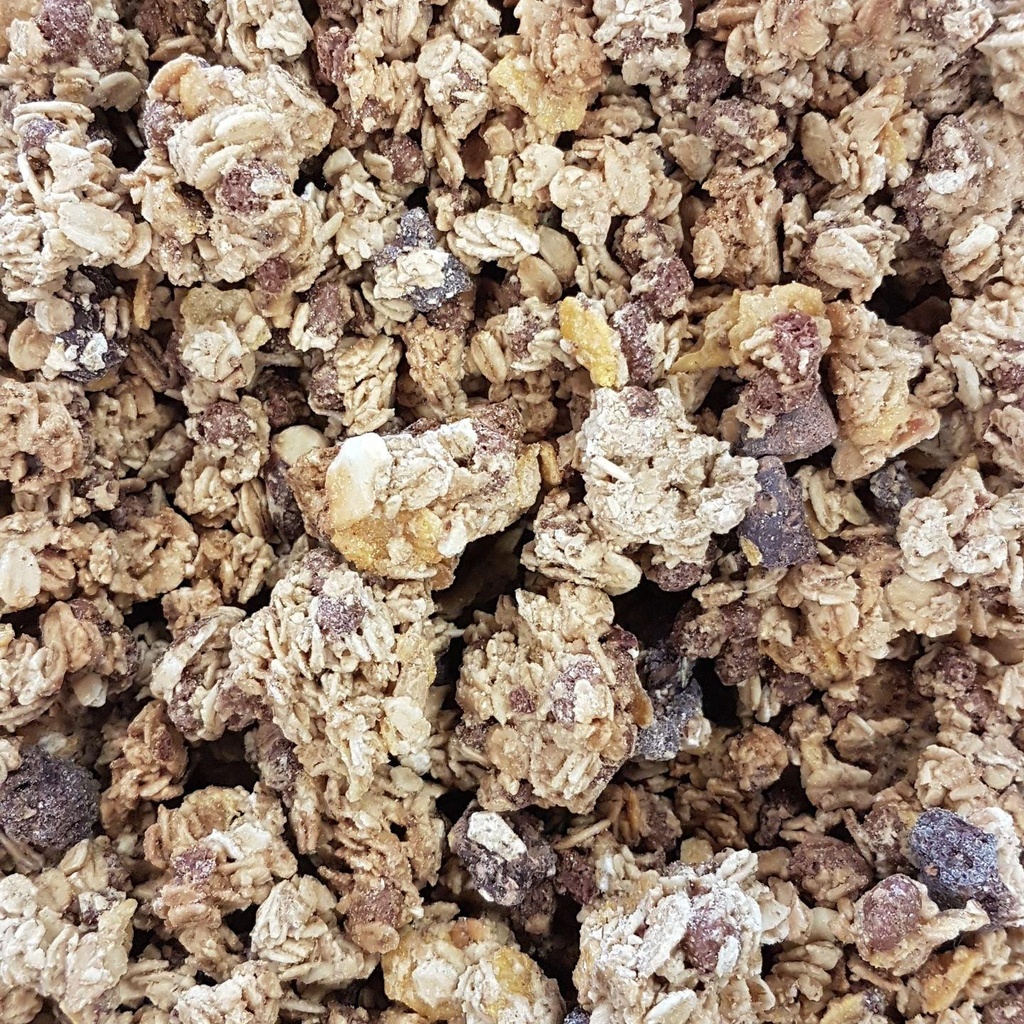Granola Krounchy aux pépites de chocolat bio /100g