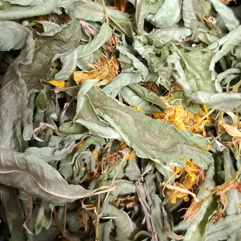 Tisane Lumière - Sacrées végétales /10g
