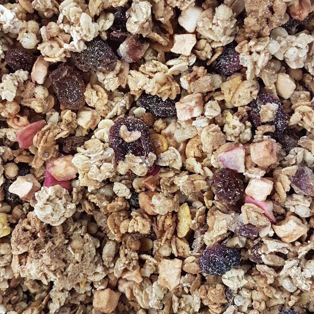Granola Krounchy aux fruits secs bio /100g