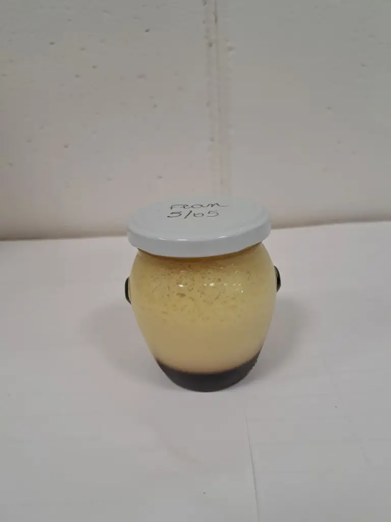 Flan caramel vache