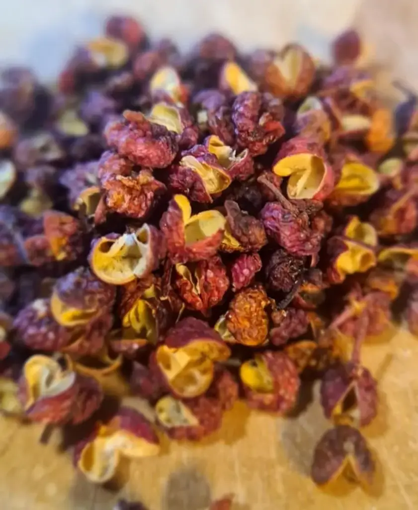 Poivre de Sichuan /10g