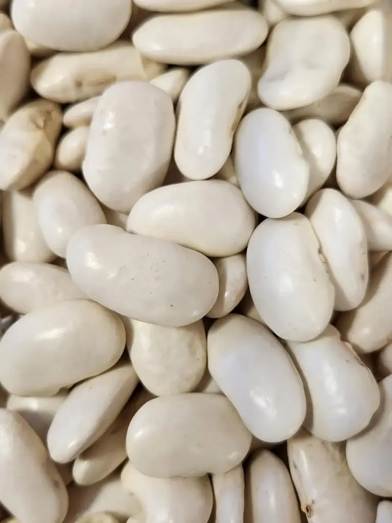 Haricots blancs géants bio /100 g