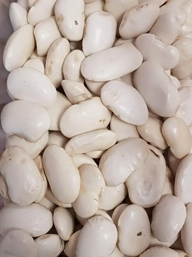 Haricots blancs géants bio /100 g