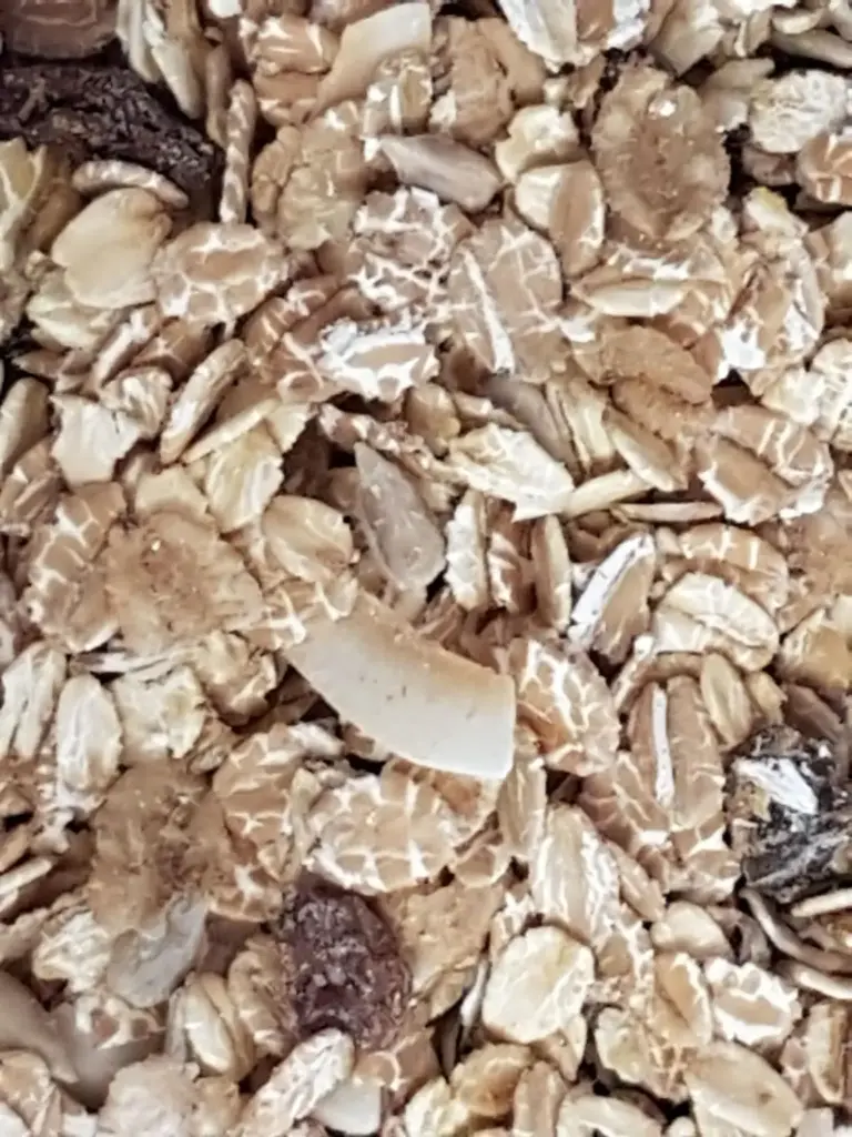 Céréales Muesli aux fruits/ 100g