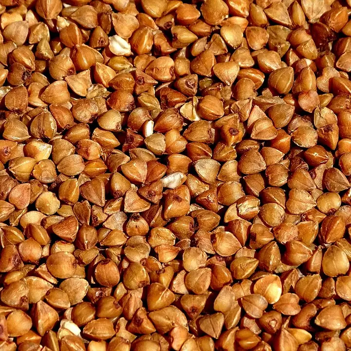 Sarrasin bio en vrac/100 g