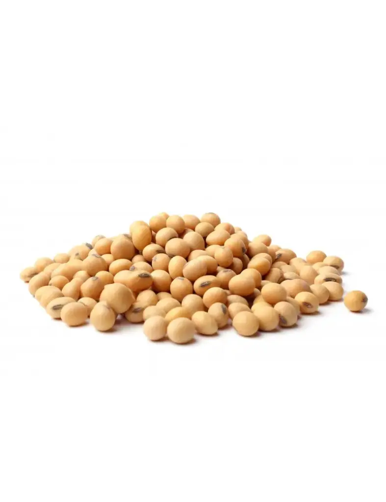 Soja jaune bio (graine de soja) /100g