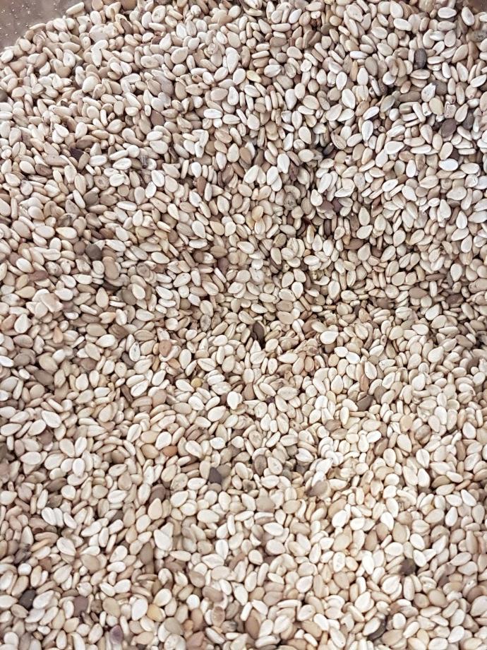 Graines de sésame blanc bio /50g