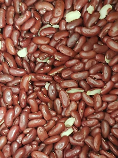 Haricots rouges bio français /100g