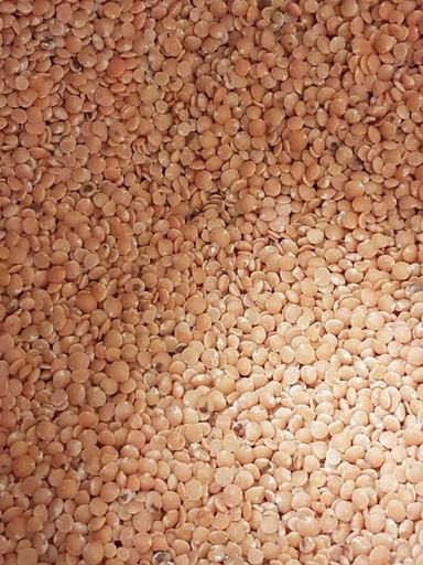 Lentilles corail bio belges/100g