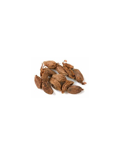 Cardamome entière /10g