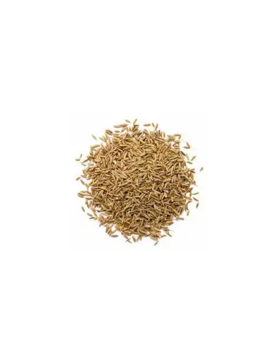 Cumin en graines /10g