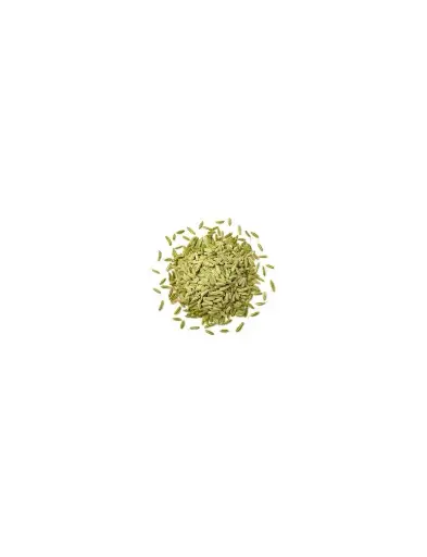 Graines de fenouil /10g