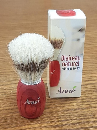 Blaireau à  barbe