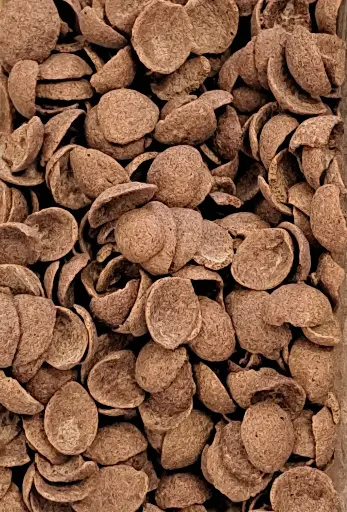 Céréales chocolunes bio en vrac/100g