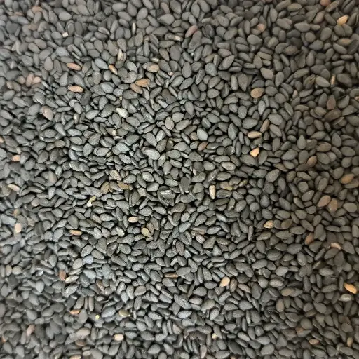 Graines de sésame noir bio /50g