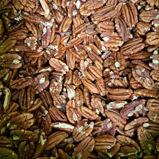 Noix de pécan bio/100g