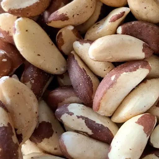 Noix du brésil bio/100g