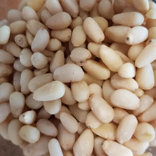 Pignon de pin bio/20g