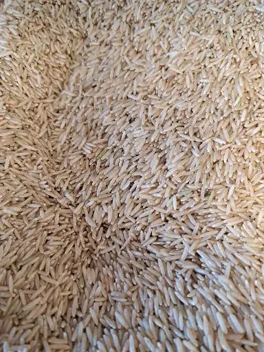 Riz basmati complet bio /100g