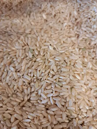 Riz long complet bio/100g