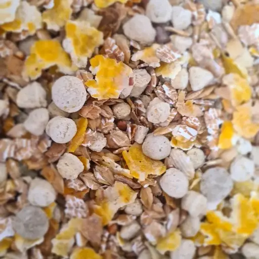Alimentation Chien végé /100g  