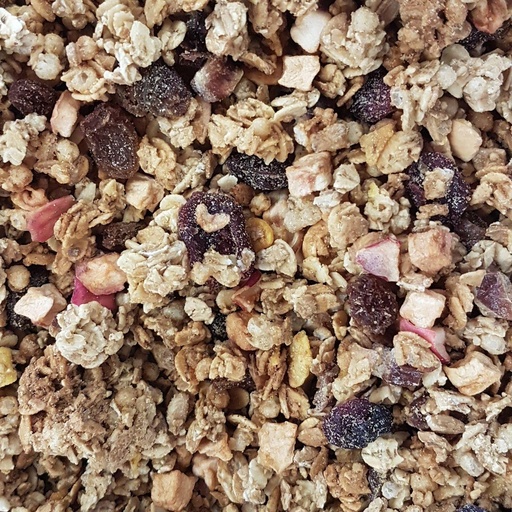 Granola Krounchy aux fruits secs bio /100g